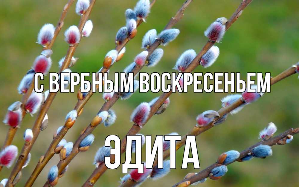 Открытка на каждый день с именем, Эдита С вербным воскресеньем верба Прикольная открытка с пожеланием онлайн скачать бесплатно 