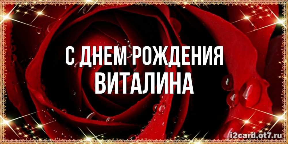 Открытка на каждый день с именем, виталина С днем рождения цветок в росе на день рождения Прикольная открытка с пожеланием онлайн скачать бесплатно 