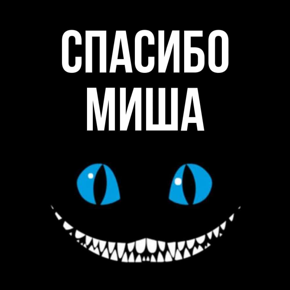 Спасибо Миша