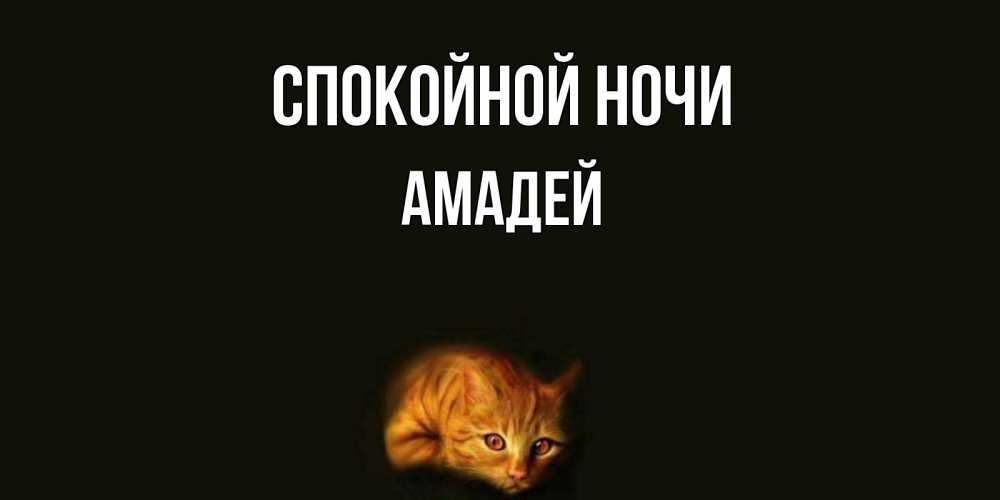Открытка на каждый день с именем, Амадей Спокойной ночи кот Прикольная открытка с пожеланием онлайн скачать бесплатно 