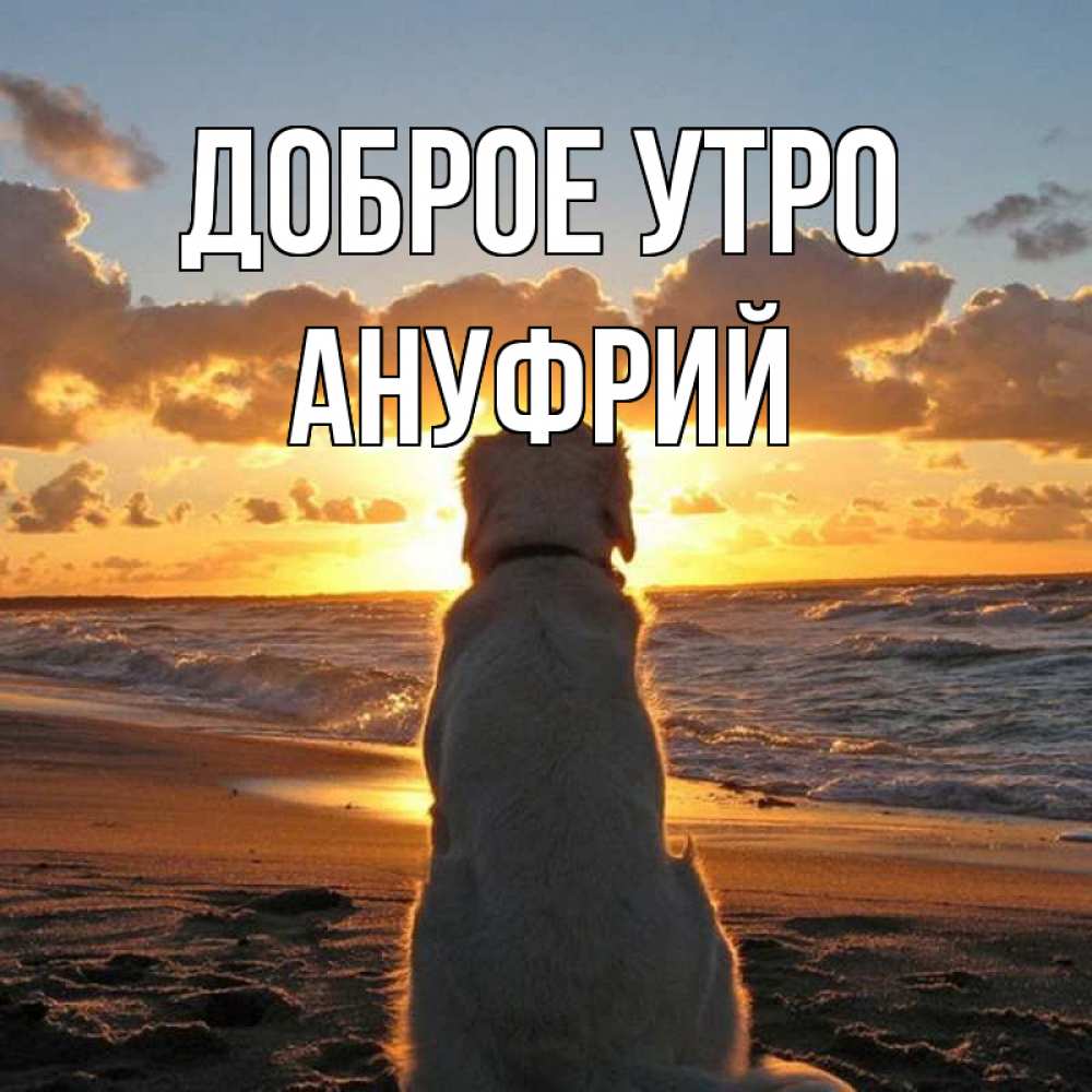 Открытка на каждый день с именем, Ануфрий Доброе утро восход солнца Прикольная открытка с пожеланием онлайн скачать бесплатно 