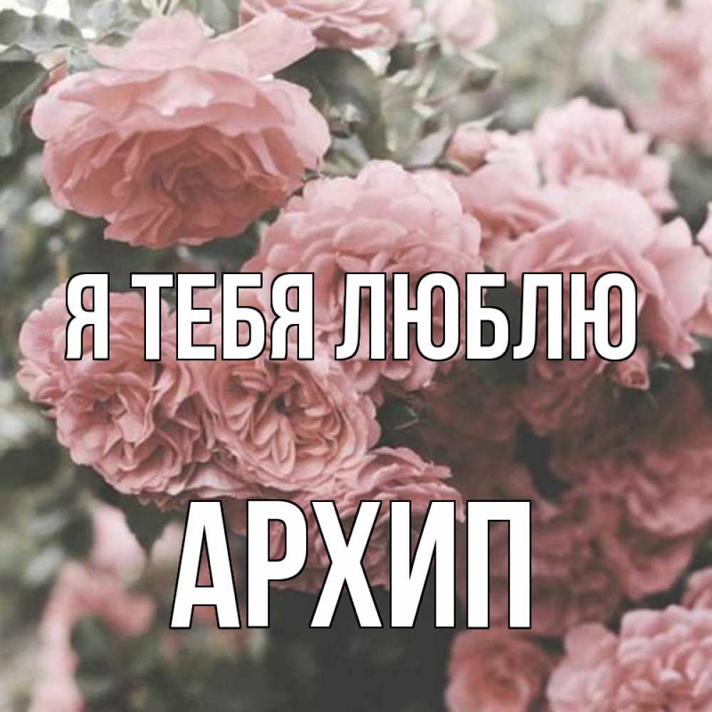 Открытка на каждый день с именем, Архип Я тебя люблю розы 3 Прикольная открытка с пожеланием онлайн скачать бесплатно 