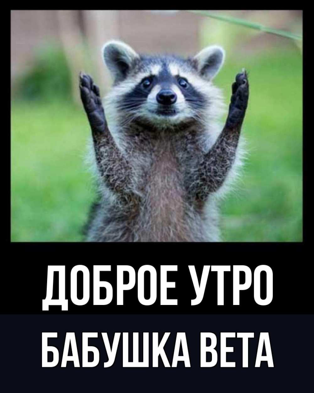 Открытка на каждый день с именем, Бабушка-Вета Доброе утро хорошее настроение утречком Прикольная открытка с пожеланием онлайн скачать бесплатно 