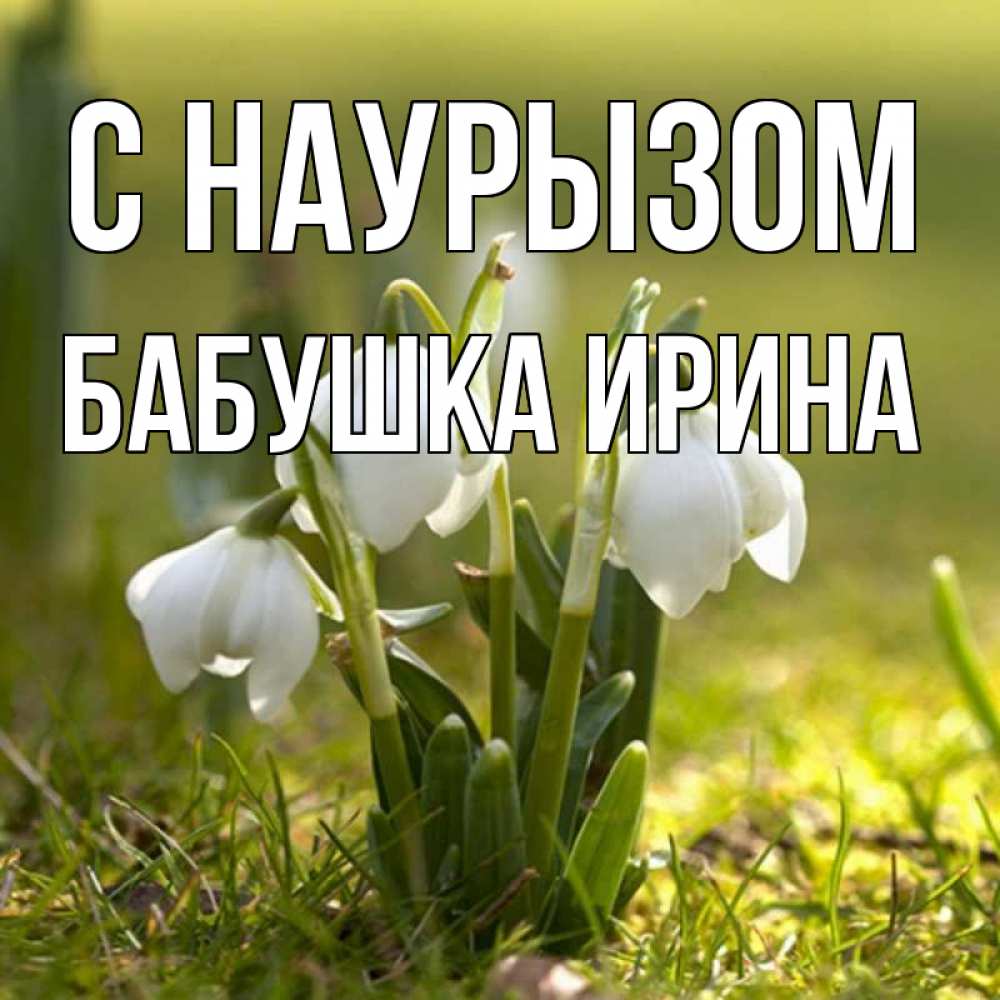 Открытка на каждый день с именем, Бабушка-Ирина С наурызом ранние цветы 2 Прикольная открытка с пожеланием онлайн скачать бесплатно 