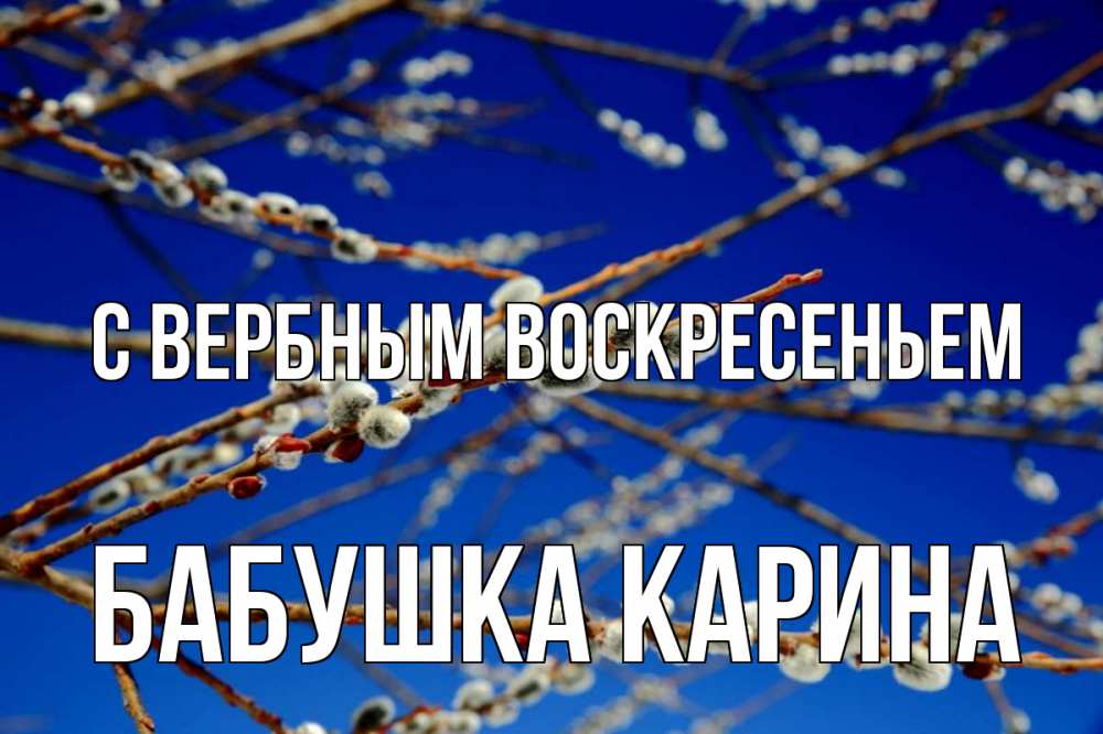 Открытка на каждый день с именем, Бабушка-Карина С вербным воскресеньем верба Прикольная открытка с пожеланием онлайн скачать бесплатно 