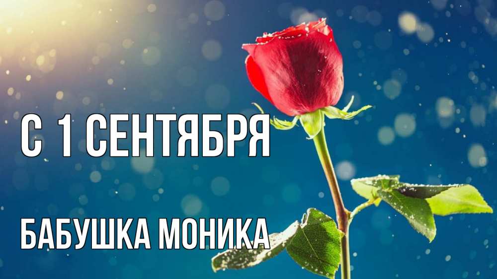 Открытка на каждый день с именем, Бабушка-Моника С 1 сентября с днем знаний Прикольная открытка с пожеланием онлайн скачать бесплатно 