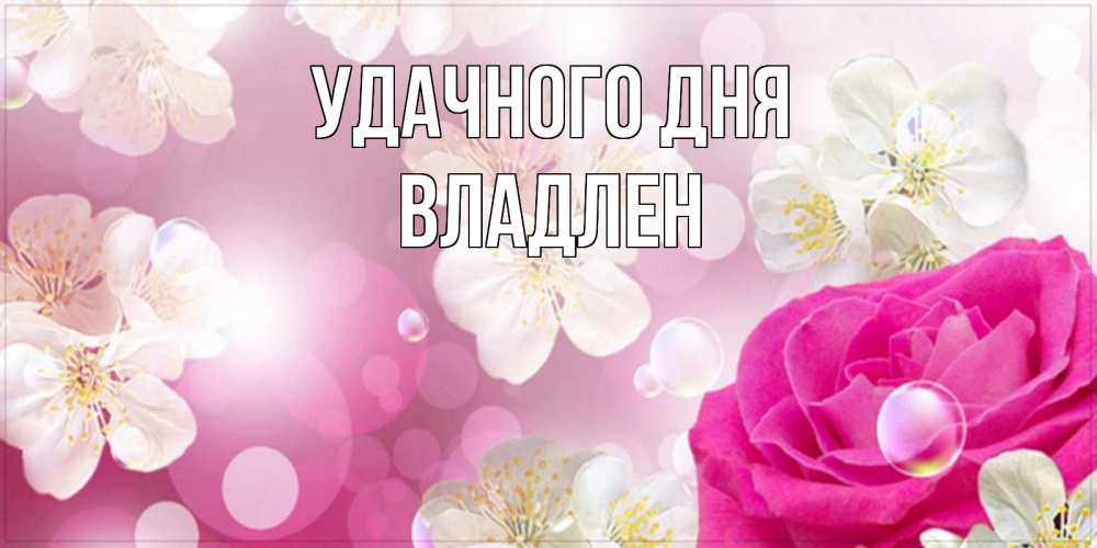Открытка на каждый день с именем, Владлен Удачного дня красивые цветы Прикольная открытка с пожеланием онлайн скачать бесплатно 