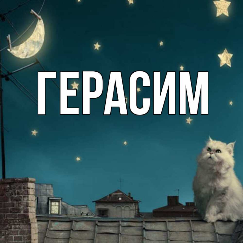 Открытка на каждый день с именем, Герасим Главная белый кот сидит на крыше Прикольная открытка с пожеланием онлайн скачать бесплатно 