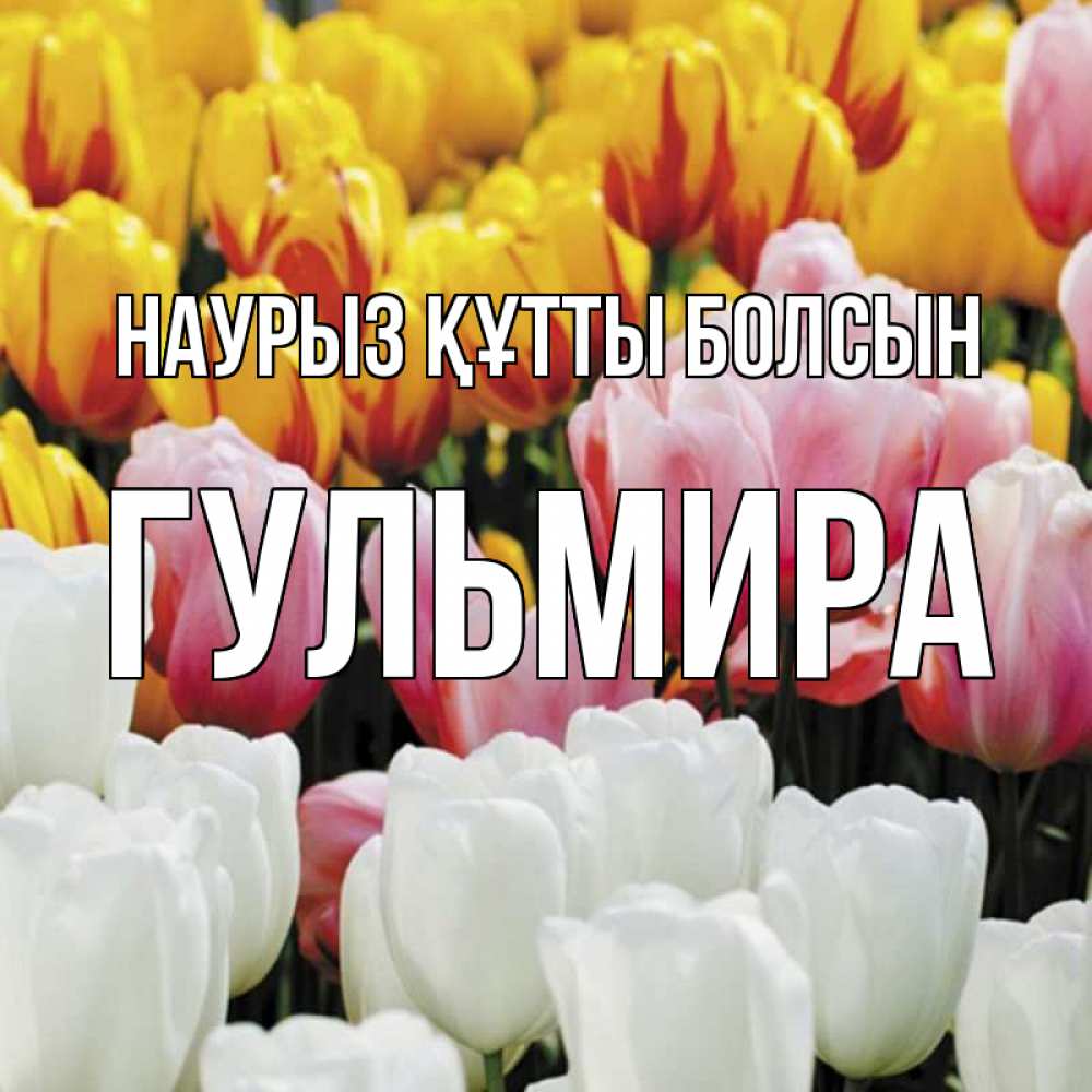 Открытка на каждый день с именем, Гульмира Наурыз құтты болсын разноцветные цветы Прикольная открытка с пожеланием онлайн скачать бесплатно 