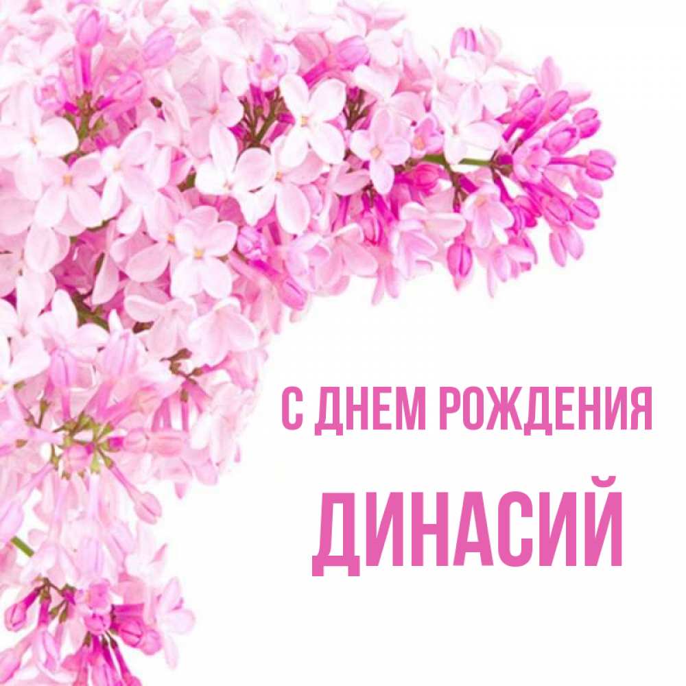 Открытка на каждый день с именем, Динасий С днем рождения Сирень на белом фоне Прикольная открытка с пожеланием онлайн скачать бесплатно 