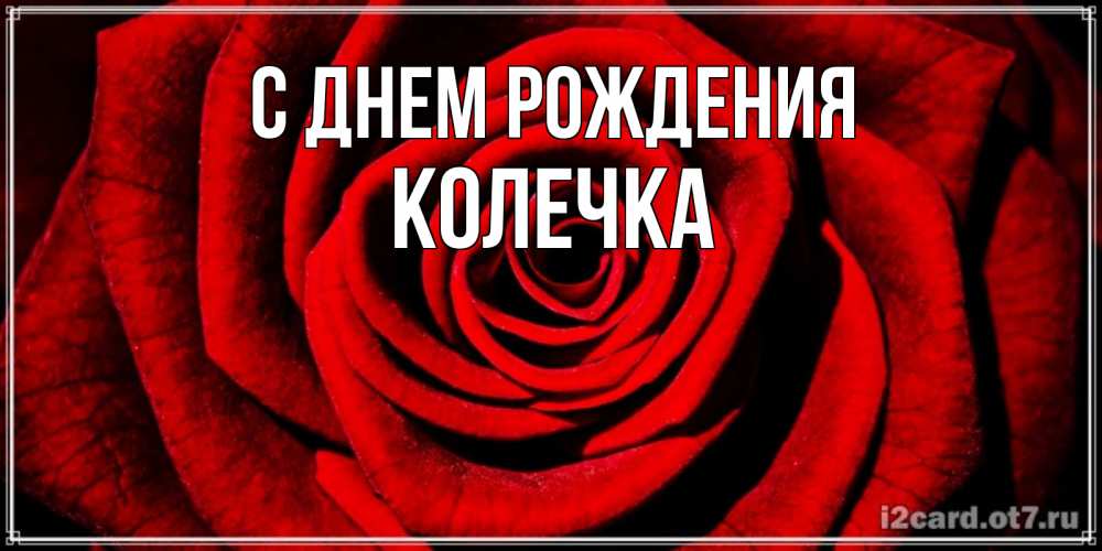 Открытка на каждый день с именем, Колечка С днем рождения алая роза Прикольная открытка с пожеланием онлайн скачать бесплатно 