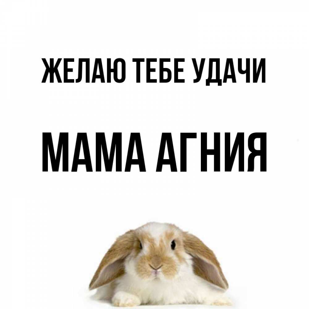 Открытка на каждый день с именем, Мама-Агния Желаю тебе удачи открытки с произвольным текстом который можно вставить в открытку и создать ее самостоятельно бесплатно онлайн Прикольная открытка с пожеланием онлайн скачать бесплатно 