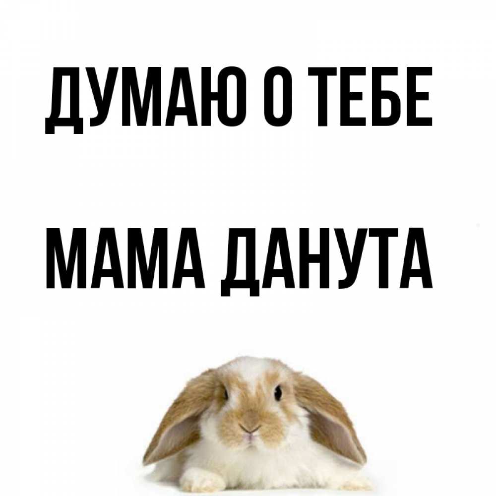 Открытка на каждый день с именем, Мама-Данута Думаю о тебе подписать своими руками онлайн Прикольная открытка с пожеланием онлайн скачать бесплатно 