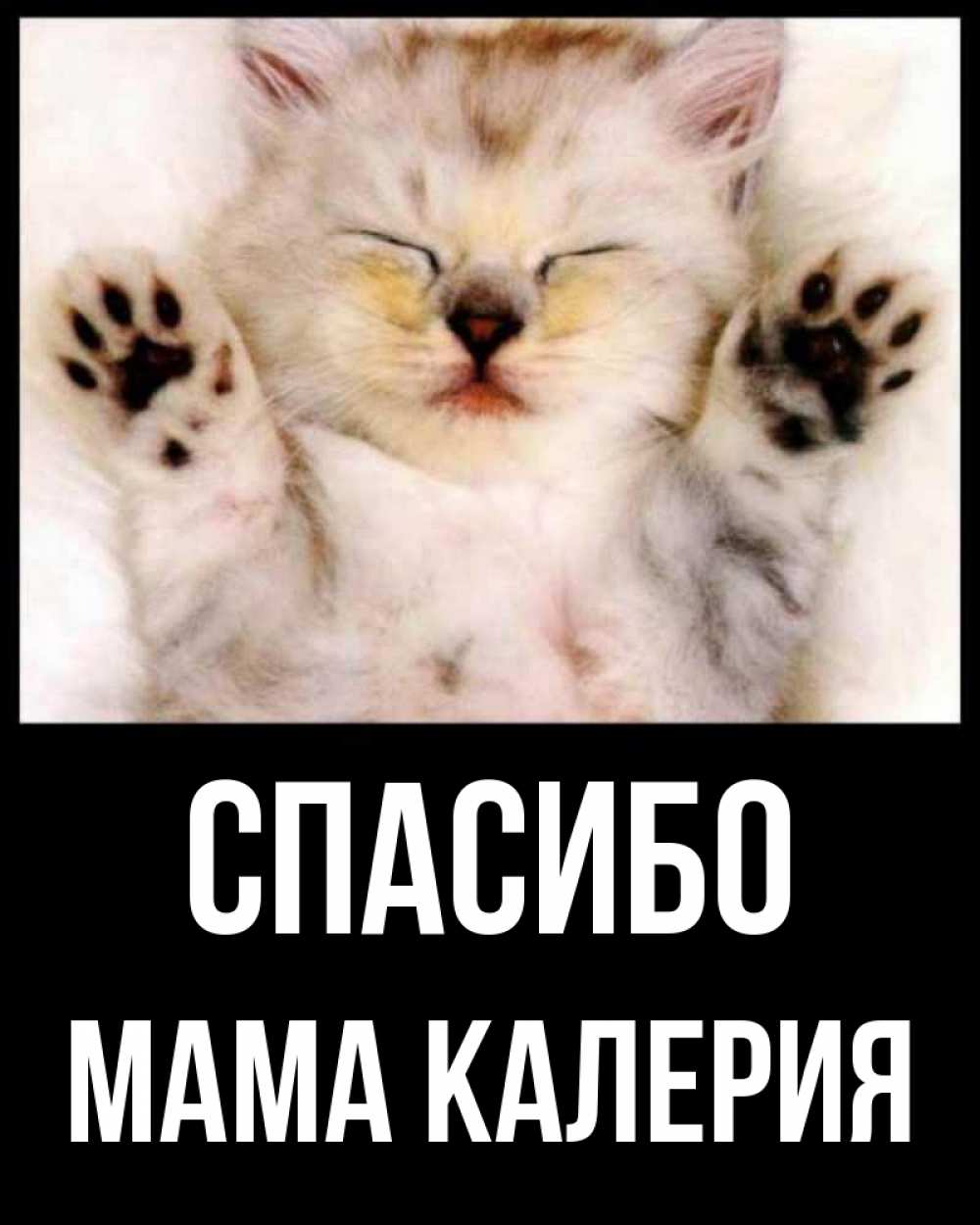 Открытка на каждый день с именем, Мама-Калерия Спасибо маленький котенок Прикольная открытка с пожеланием онлайн скачать бесплатно 