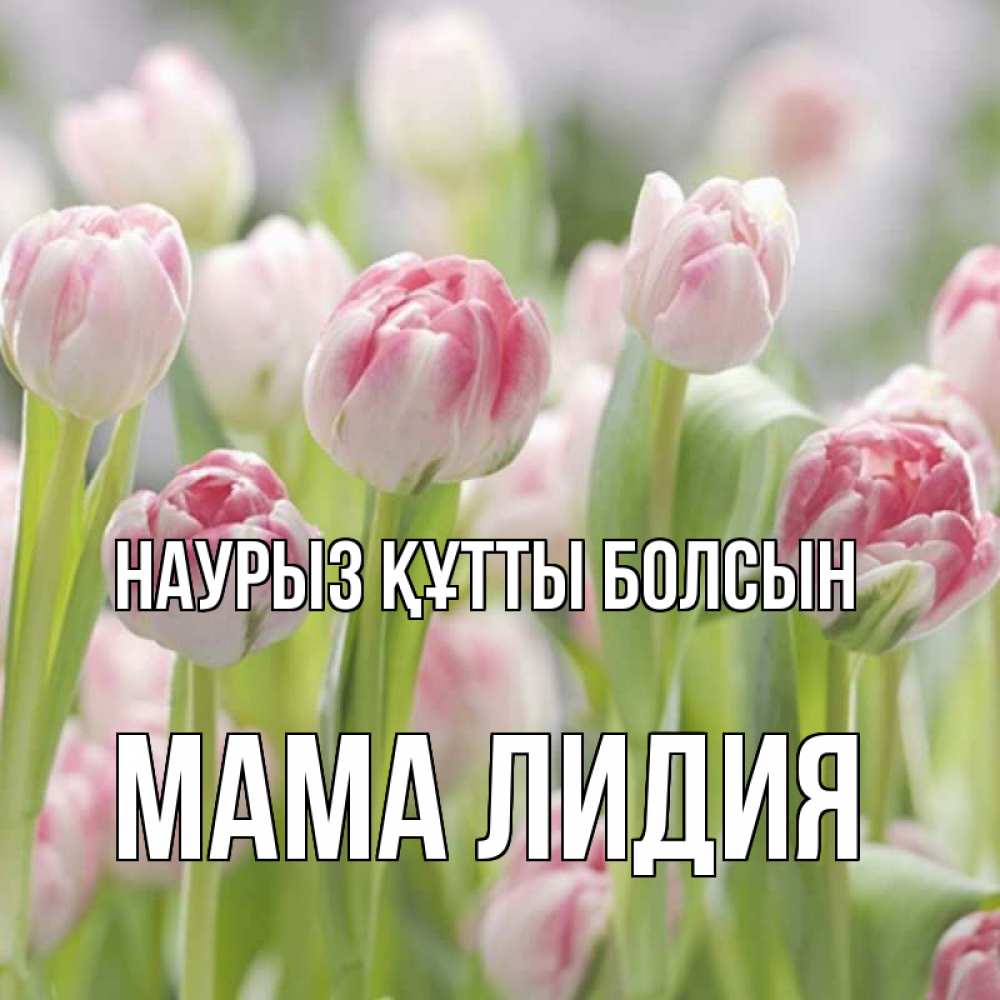 Открытка на каждый день с именем, Мама-Лидия Наурыз құтты болсын цветы Прикольная открытка с пожеланием онлайн скачать бесплатно 