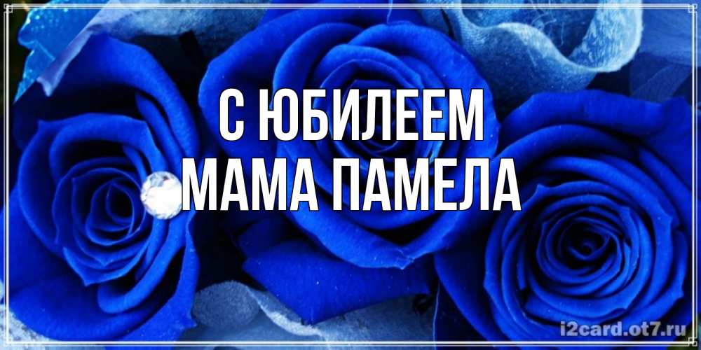 Открытка на каждый день с именем, Мама-Памела С юбилеем синие розы в росе Прикольная открытка с пожеланием онлайн скачать бесплатно 