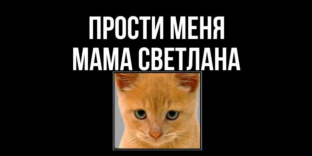 Открытка на каждый день с именем, Мама-Светлана Прости меня рыжий грустный кот просит прощения Прикольная открытка с пожеланием онлайн скачать бесплатно 