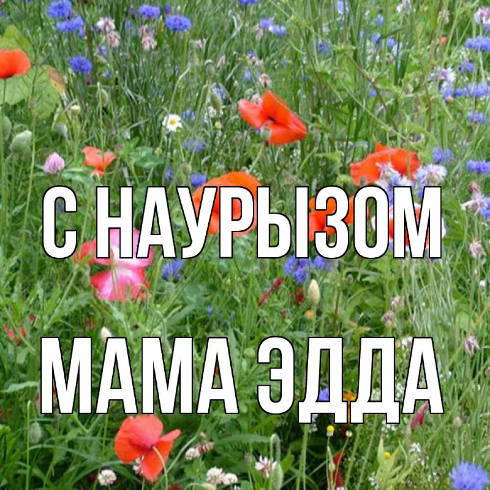 Открытка на каждый день с именем, Мама-Эдда С наурызом праздник весны наурыз супер открытка Прикольная открытка с пожеланием онлайн скачать бесплатно 
