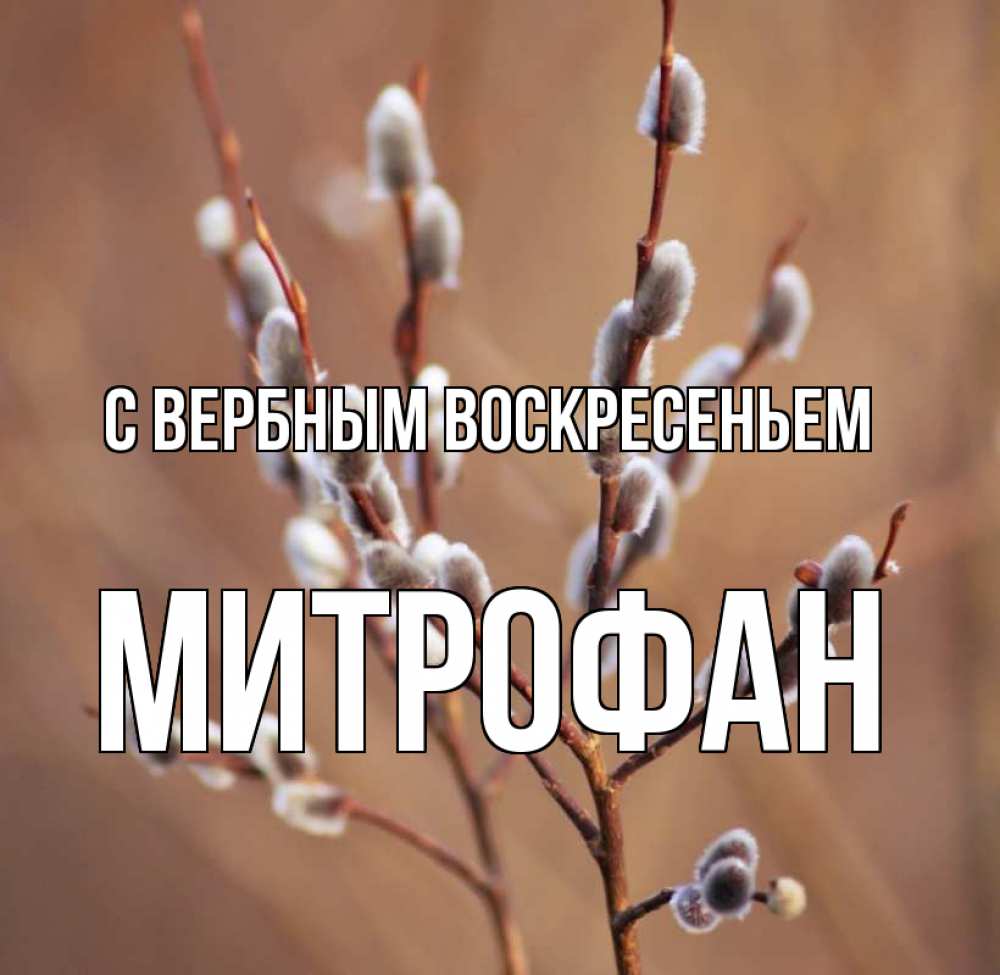 Открытка на каждый день с именем, Митрофан С вербным воскресеньем верба Прикольная открытка с пожеланием онлайн скачать бесплатно 