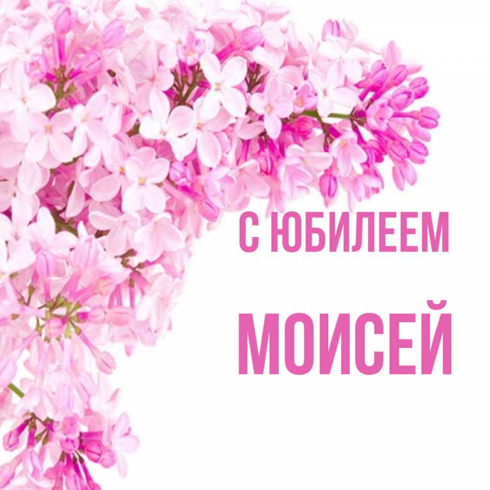 Открытка на каждый день с именем, Моисей С юбилеем Сирень на белом фоне Прикольная открытка с пожеланием онлайн скачать бесплатно 