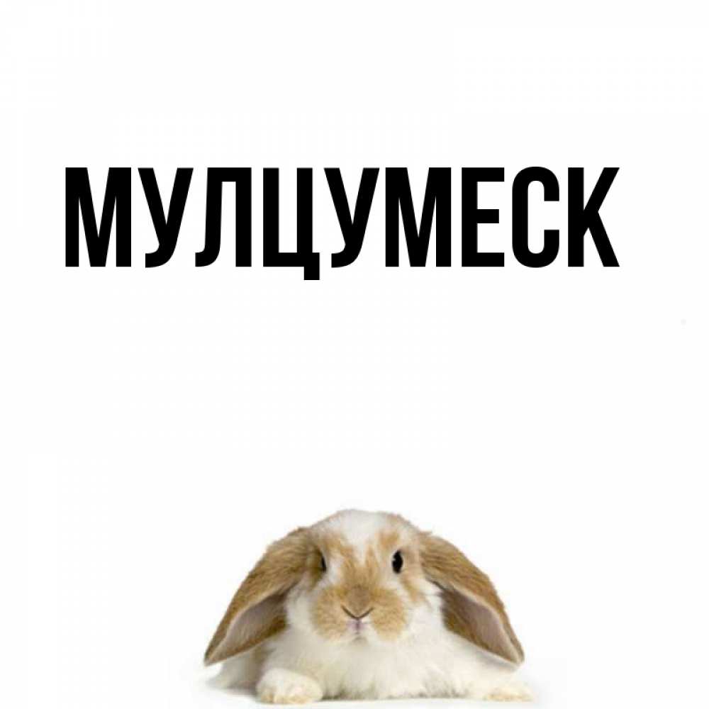 Открытка на каждый день с именем, Мулцумеск Главная подписать своими руками онлайн Прикольная открытка с пожеланием онлайн скачать бесплатно 