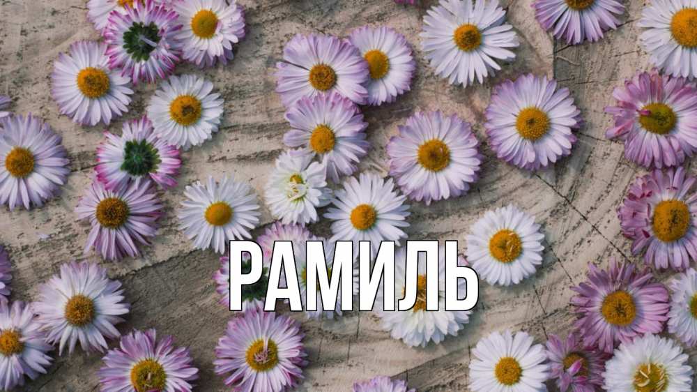 Открытка на каждый день с именем, Рамиль Главная с днем семьи Прикольная открытка с пожеланием онлайн скачать бесплатно 