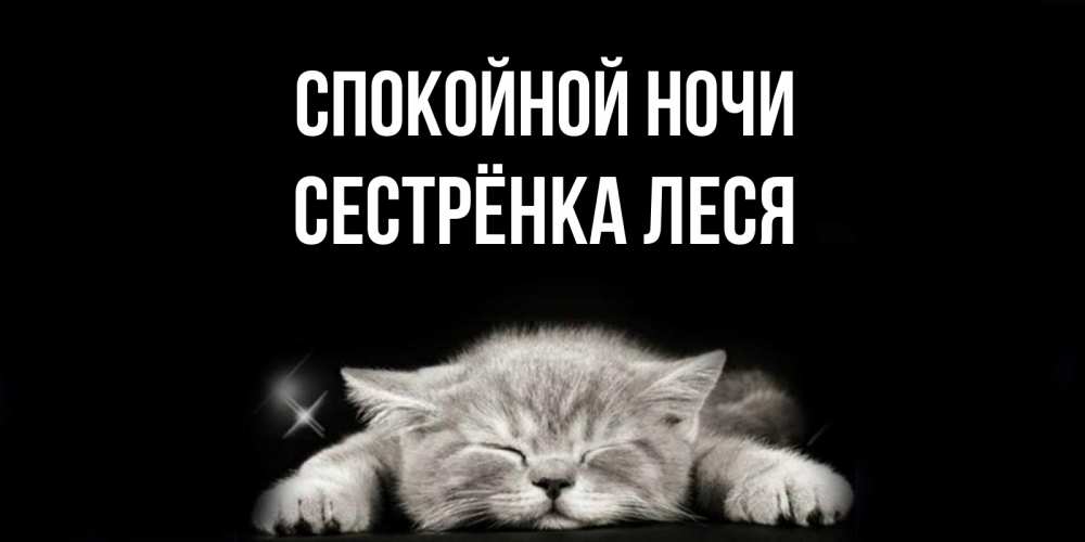 Открытка на каждый день с именем, Сестрёнка-Леся Спокойной ночи спящий котик Прикольная открытка с пожеланием онлайн скачать бесплатно 