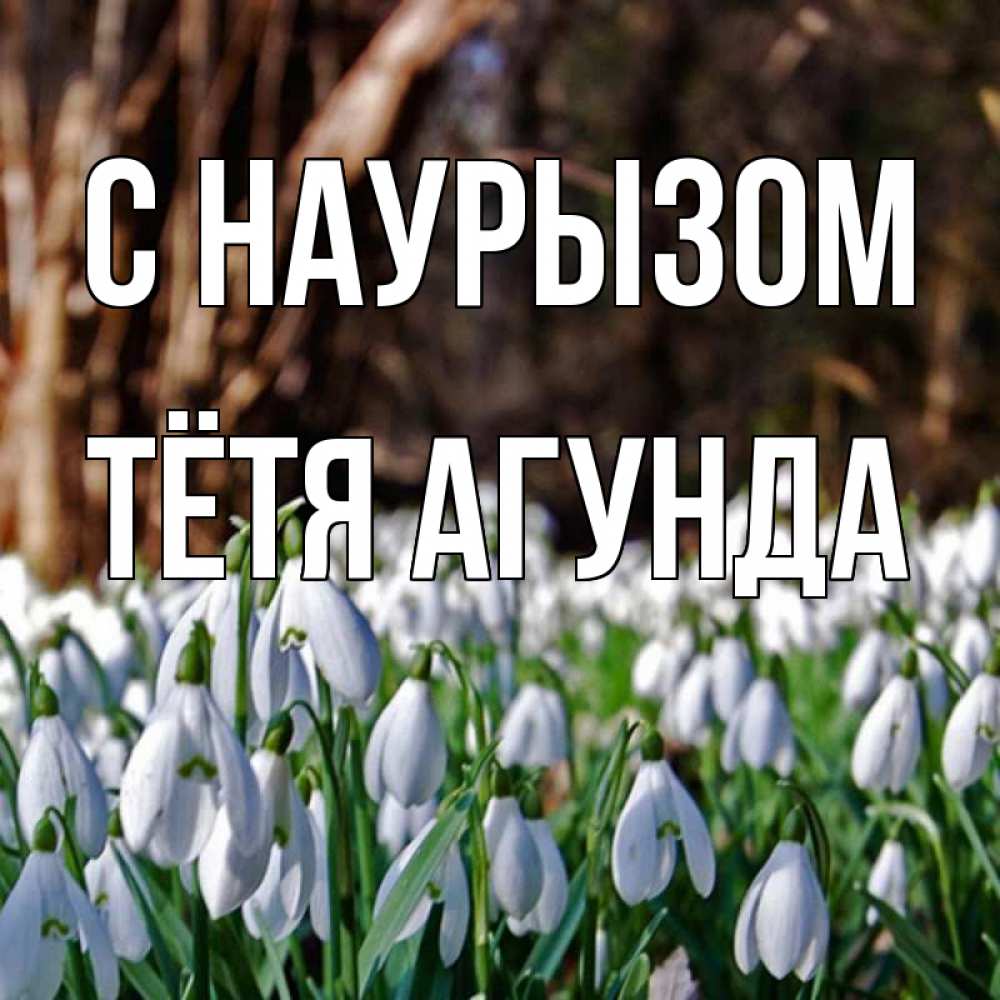 Открытка на каждый день с именем, Тётя-Агунда С наурызом с подснежниками 1 Прикольная открытка с пожеланием онлайн скачать бесплатно 
