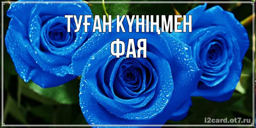 Открытка на каждый день с именем, Фая Туған күніңмен розы с синим цветом Прикольная открытка с пожеланием онлайн скачать бесплатно 