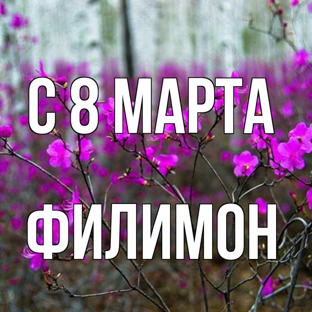 Открытка на каждый день с именем, Филимон С 8 МАРТА дикие цветы Прикольная открытка с пожеланием онлайн скачать бесплатно 