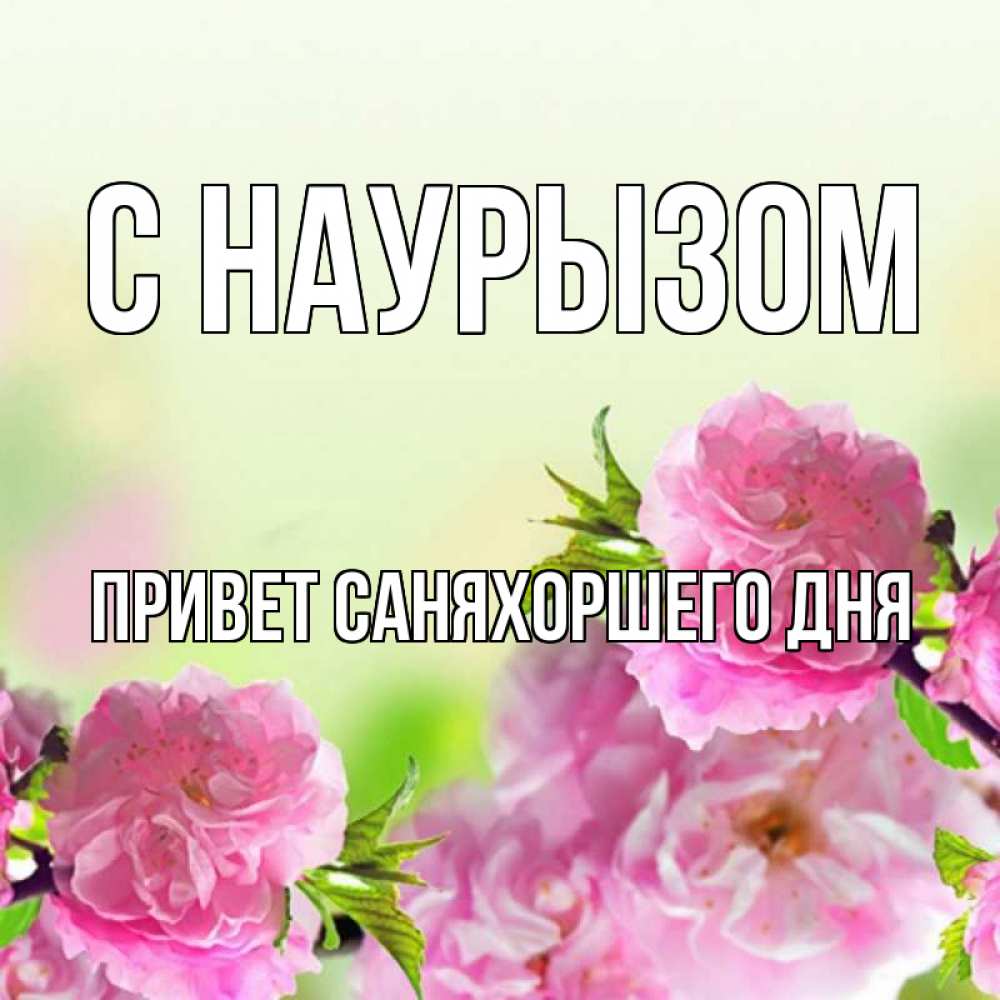 Раечка с днем рождения картинки красивые