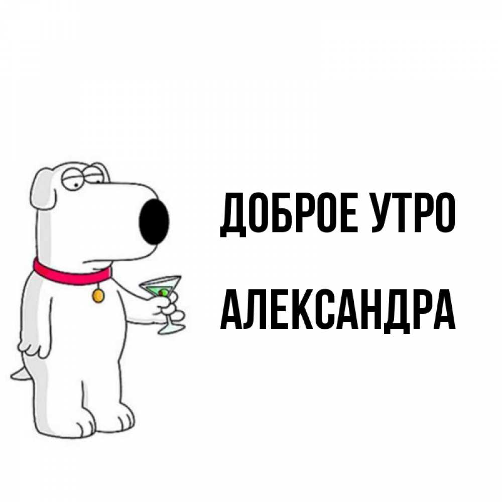 Открытка на каждый день с именем, Александра Доброе утро герои мультфильмов белый пес Прикольная открытка с пожеланием онлайн скачать бесплатно 