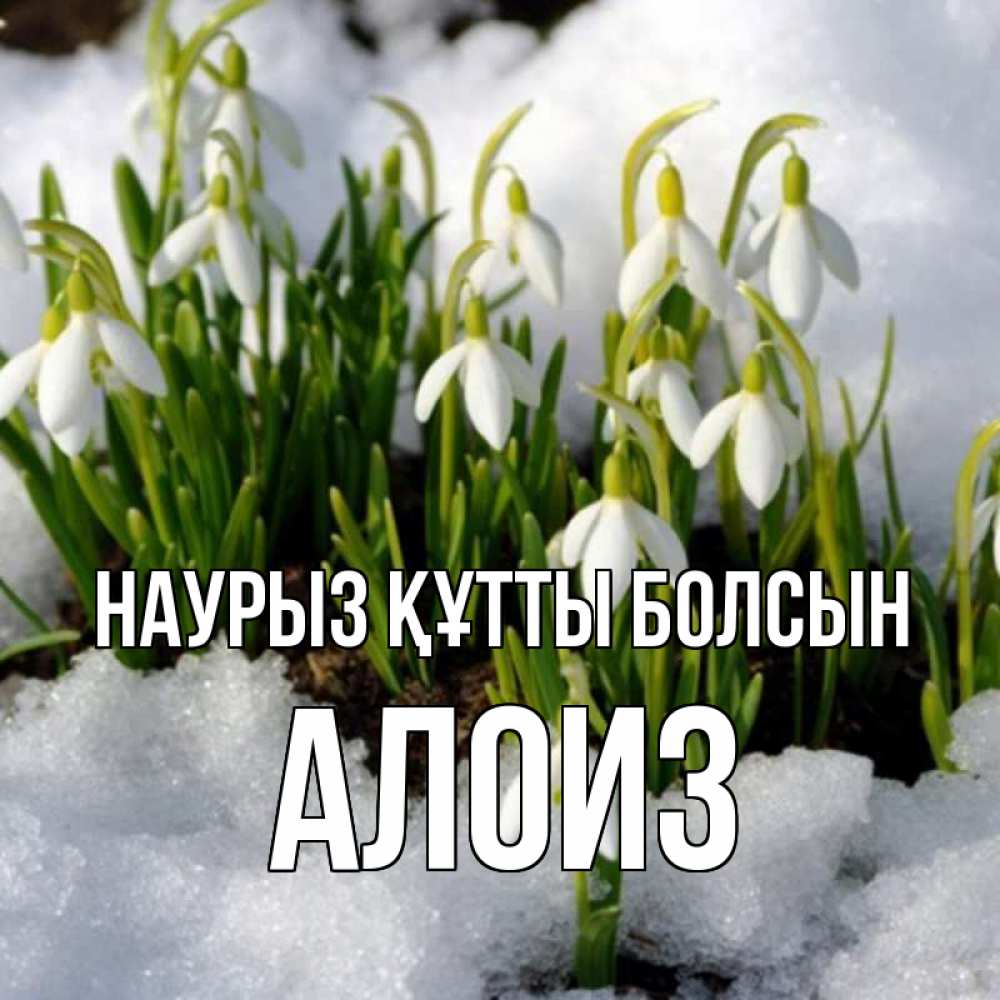 Открытка на каждый день с именем, Алоиз Наурыз құтты болсын цветы весенние Прикольная открытка с пожеланием онлайн скачать бесплатно 
