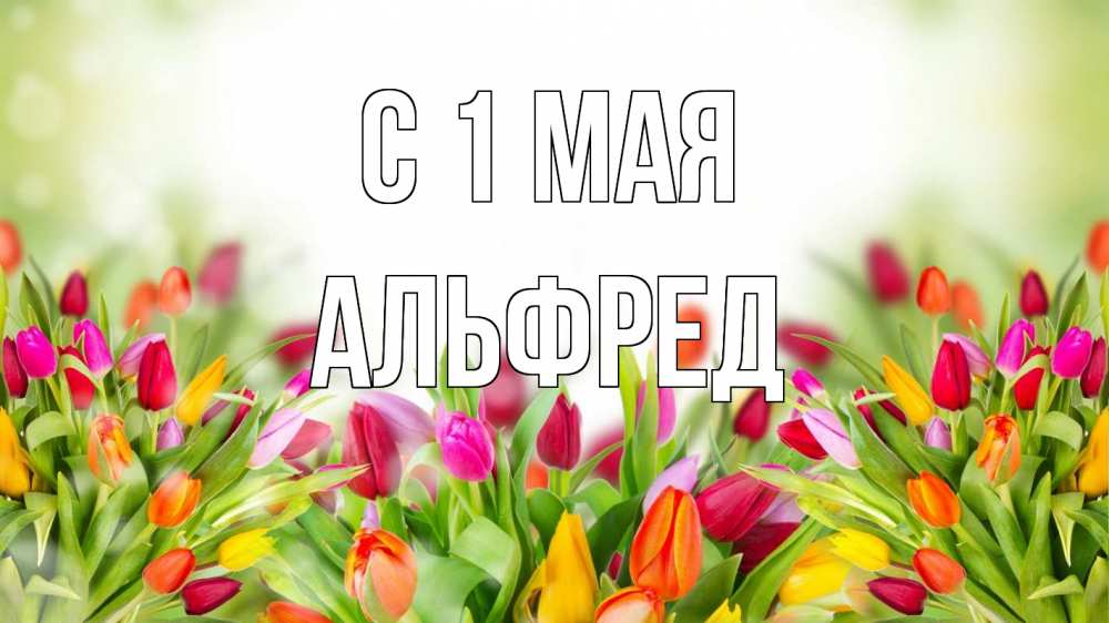 Открытка на каждый день с именем, Альфред С 1 мая С 1 мая Прикольная открытка с пожеланием онлайн скачать бесплатно 