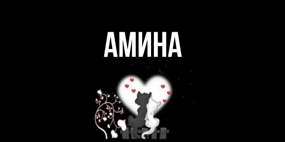 Открытка на каждый день с именем, Амина Главная коты Прикольная открытка с пожеланием онлайн скачать бесплатно 