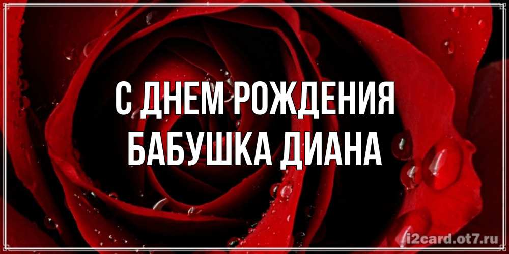 Открытка на каждый день с именем, Бабушка-Диана С днем рождения крупная бордовая роза Прикольная открытка с пожеланием онлайн скачать бесплатно 