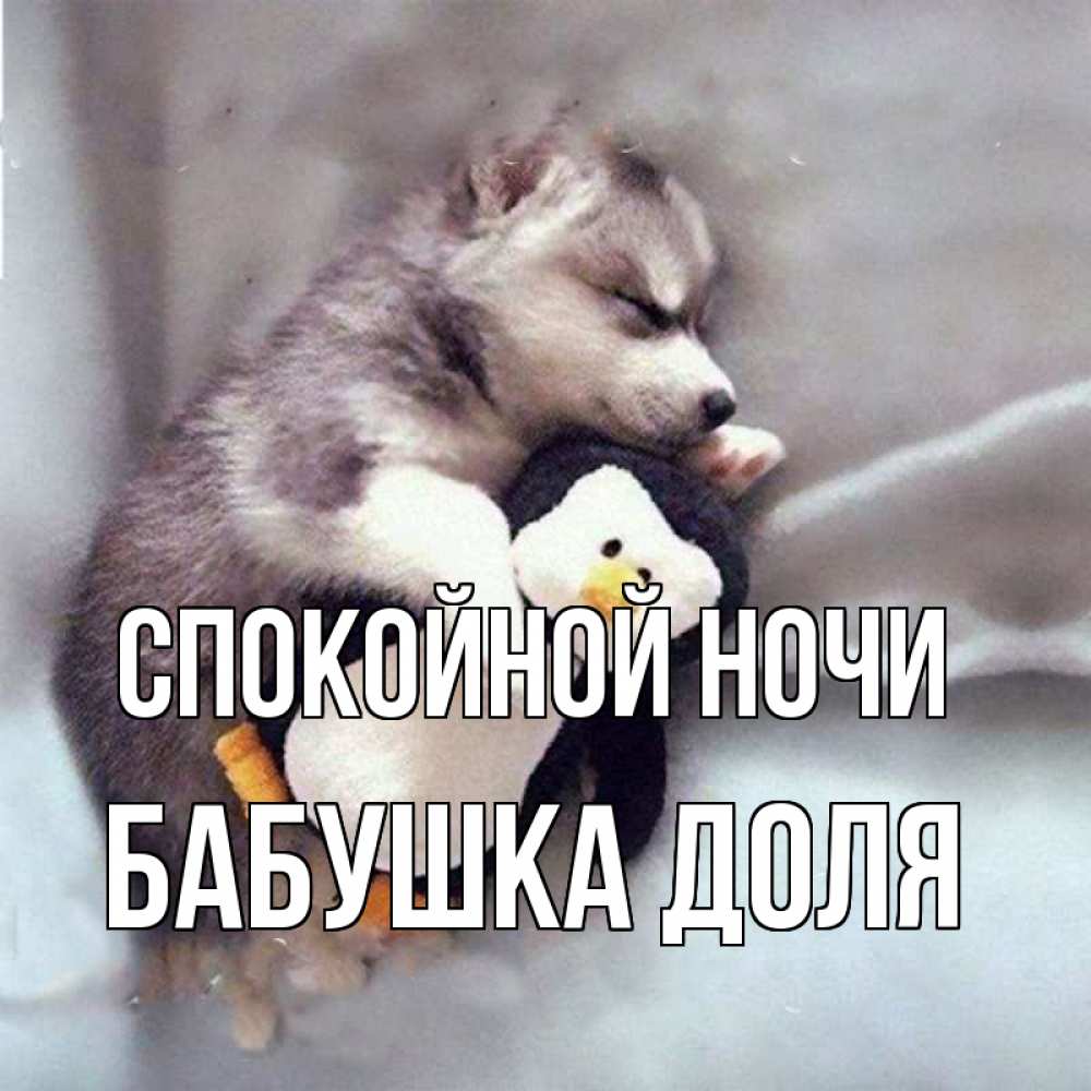 Открытка на каждый день с именем, Бабушка-Доля Спокойной ночи обнимашки щенка и пингвина Прикольная открытка с пожеланием онлайн скачать бесплатно 