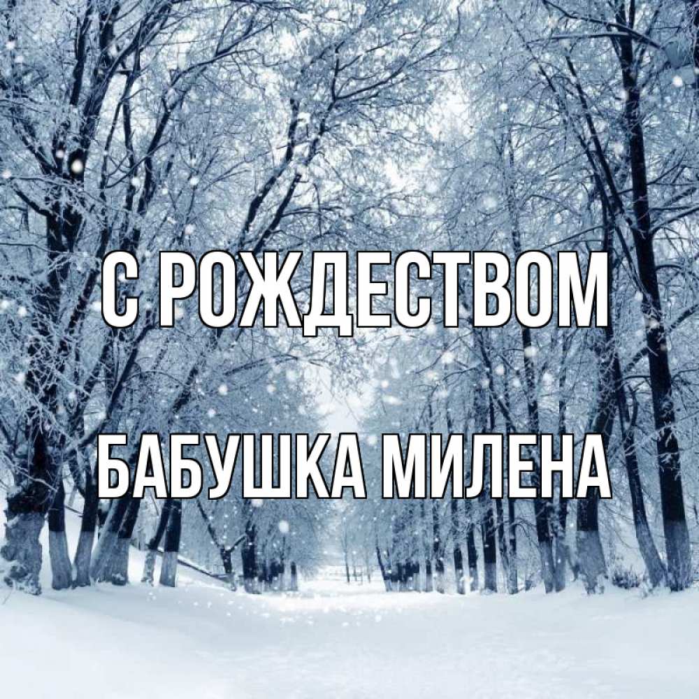 Открытка на каждый день с именем, Бабушка-Милена С рождеством снег, лес, парк Прикольная открытка с пожеланием онлайн скачать бесплатно 