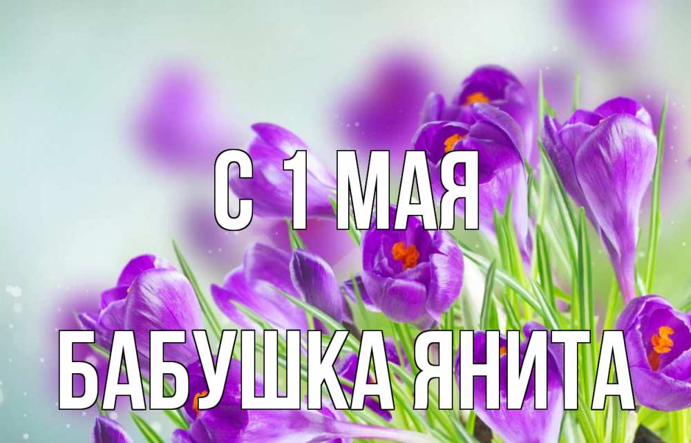 Открытка на каждый день с именем, Бабушка-Янита С 1 мая 1 мая Прикольная открытка с пожеланием онлайн скачать бесплатно 