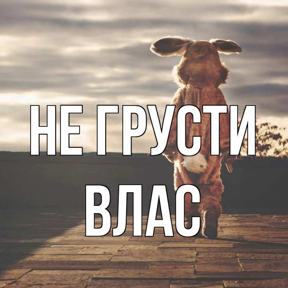 Открытка на каждый день с именем, Влас Не грусти со спины Прикольная открытка с пожеланием онлайн скачать бесплатно 