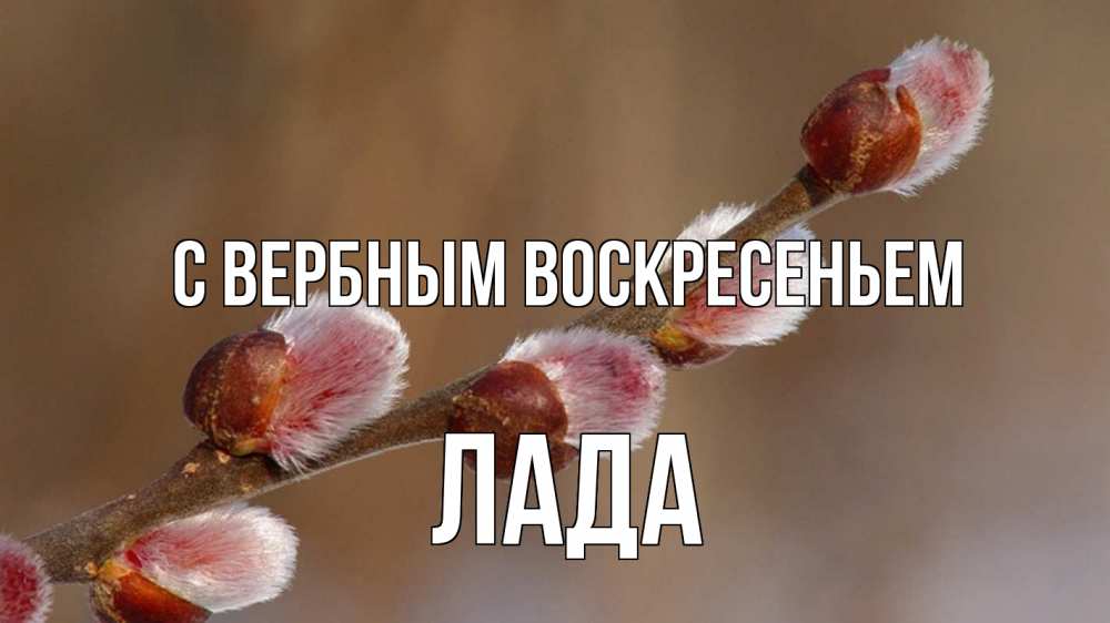 Открытка на каждый день с именем, Лада С вербным воскресеньем верба Прикольная открытка с пожеланием онлайн скачать бесплатно 