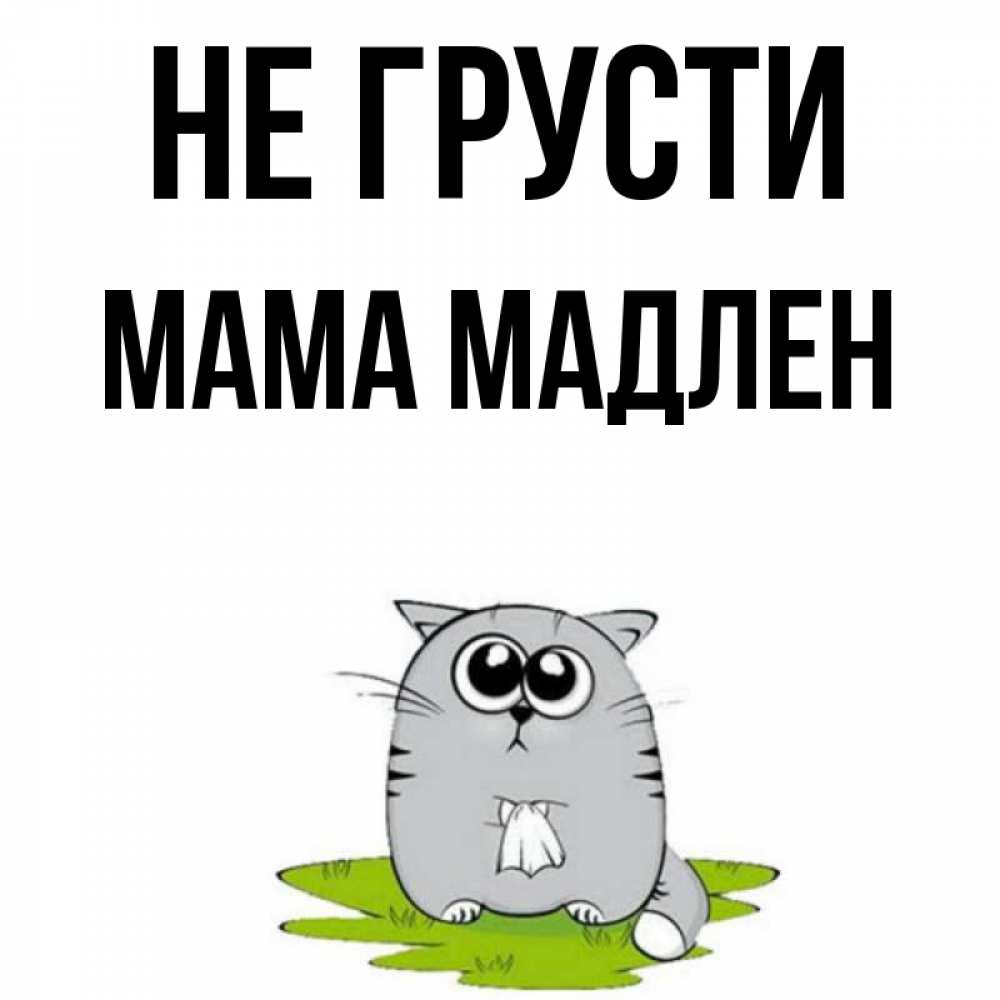 Открытка на каждый день с именем, Мама-Мадлен Не грусти грустный котяра Прикольная открытка с пожеланием онлайн скачать бесплатно 