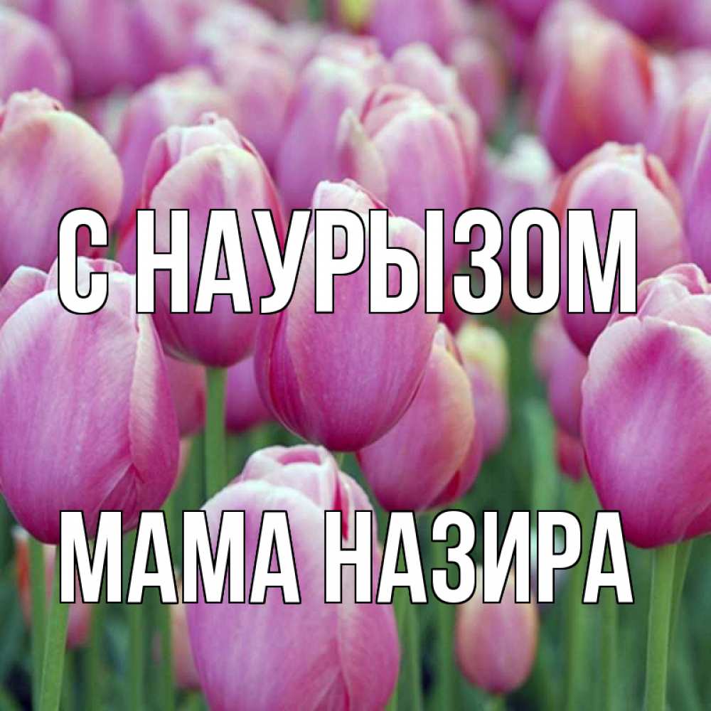 Открытка на каждый день с именем, Мама-Назира С наурызом праздник весны наурыз 69 Прикольная открытка с пожеланием онлайн скачать бесплатно 
