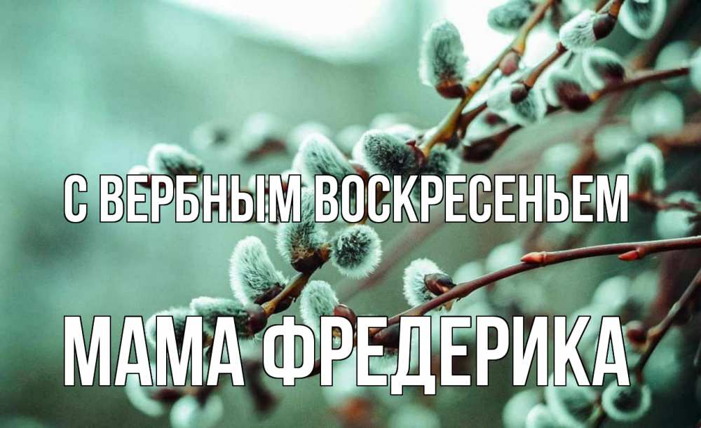 Открытка на каждый день с именем, Мама-Фредерика С вербным воскресеньем верба Прикольная открытка с пожеланием онлайн скачать бесплатно 
