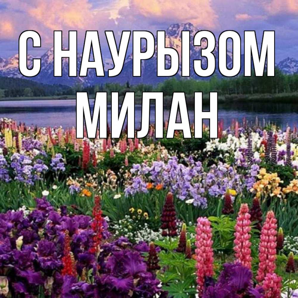 Открытка на каждый день с именем, Милан С наурызом праздник весны наурыз Прикольная открытка с пожеланием онлайн скачать бесплатно 