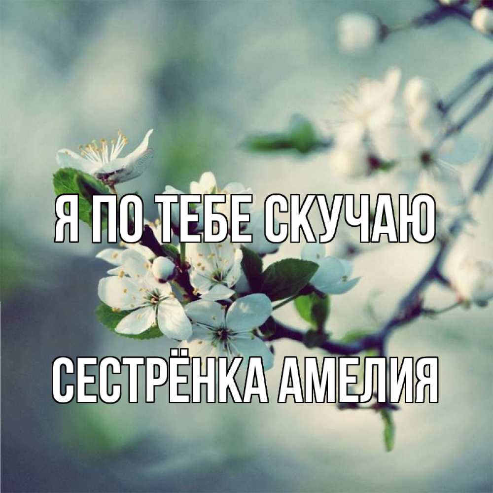 Открытка на каждый день с именем, Сестрёнка-Амелия Я по тебе скучаю весна Прикольная открытка с пожеланием онлайн скачать бесплатно 