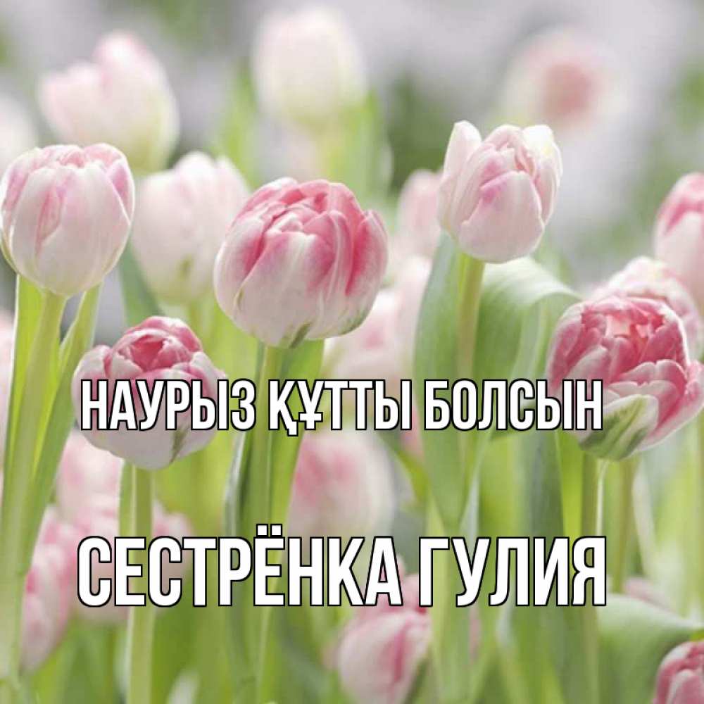 Открытка на каждый день с именем, Сестрёнка-Гулия Наурыз құтты болсын цветы Прикольная открытка с пожеланием онлайн скачать бесплатно 