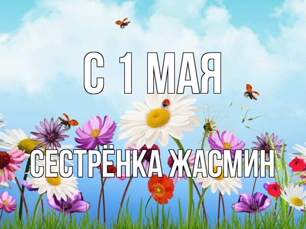 Открытка на каждый день с именем, Сестрёнка-Жасмин С 1 мая С 1 мая Прикольная открытка с пожеланием онлайн скачать бесплатно 