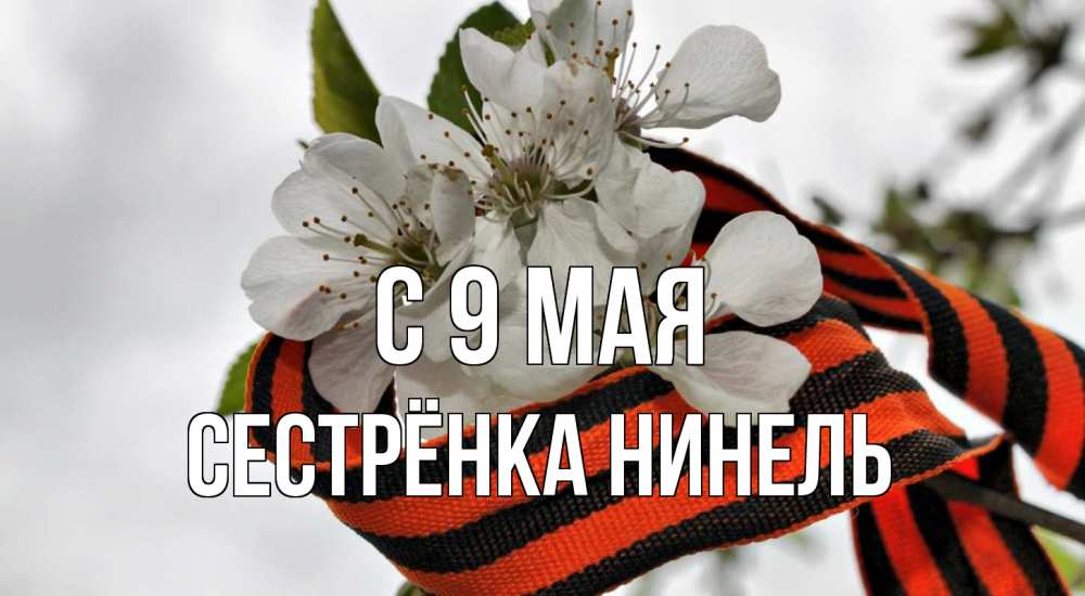 Открытка на каждый день с именем, Сестрёнка-Нинель С 9 мая 9 мая Прикольная открытка с пожеланием онлайн скачать бесплатно 
