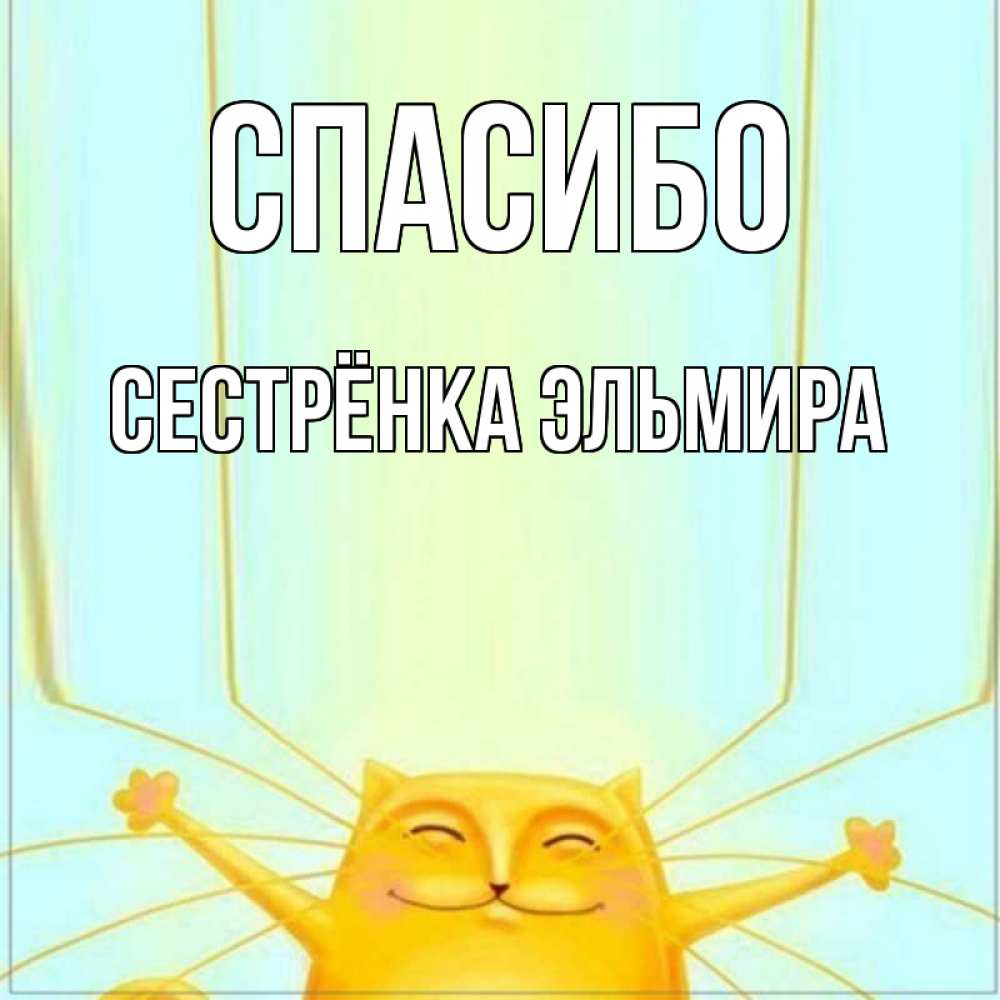 Открытка на каждый день с именем, Сестрёнка-Эльмира Спасибо кот с усами благодарит Прикольная открытка с пожеланием онлайн скачать бесплатно 